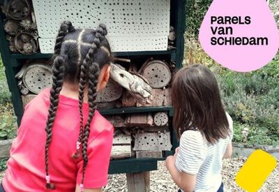 250828 Parels van Schiedam